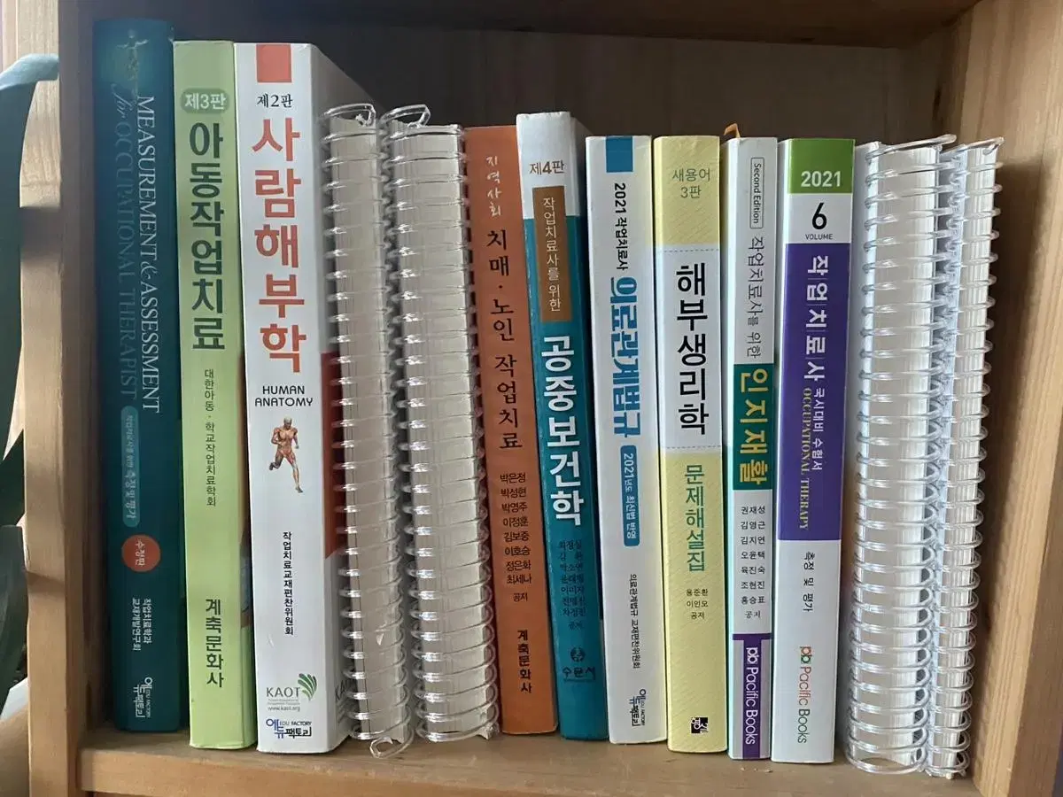 작업치료과 작업치료학과 전공책